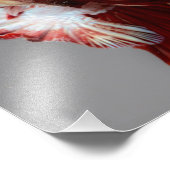 Betta Fish Foto Afdruk (Hoek)