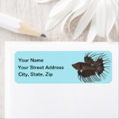 Betta Fish Label (Insitu)