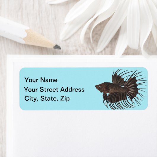 Betta Fish Label (Insitu)