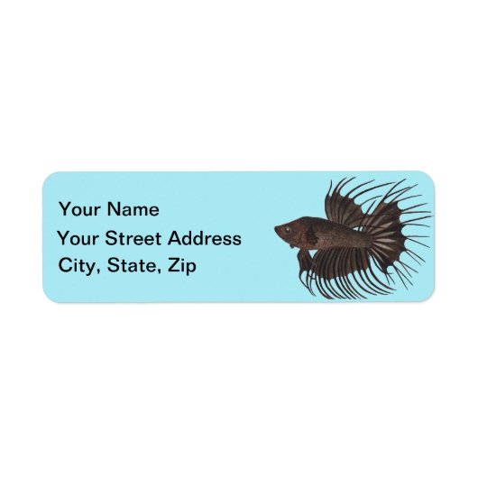 Betta Fish Label (Voorkant)