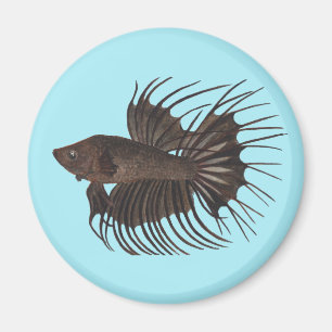 Betta Fish Magneet