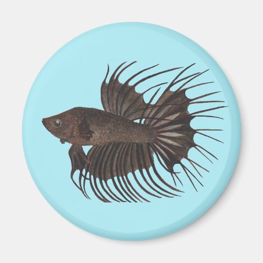 Betta Fish Magneet (Voorkant)
