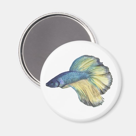 Betta Fish Magneet (Voorkant / Achterkant)