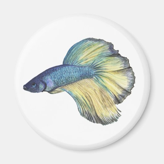 Betta Fish Magneet (Voorkant)
