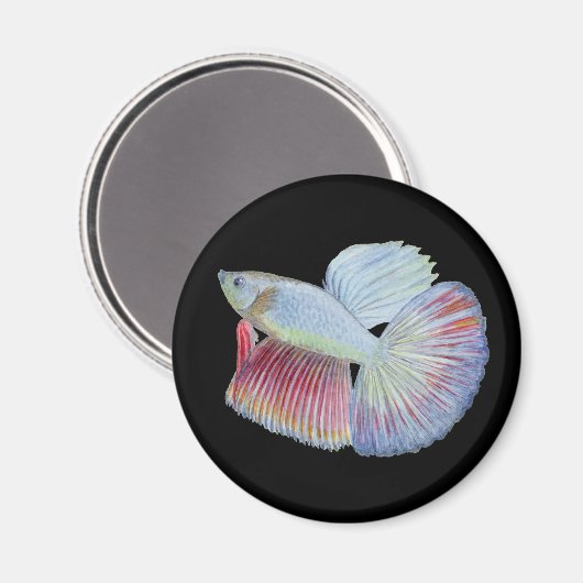 Betta Fish Magneet (Voorkant / Achterkant)