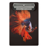 Betta Fish Mini Klembord (Voorkant)