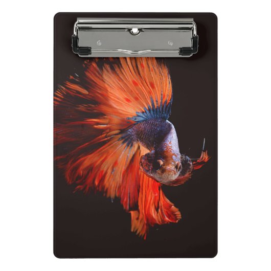 Betta Fish Mini Klembord (Voorkant)