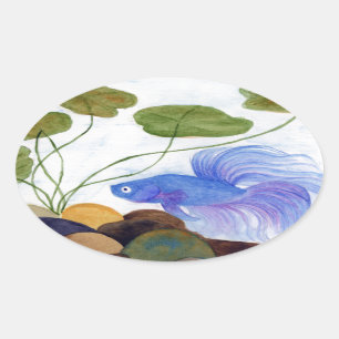 Betta Fish Ovale Sticker