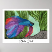 Betta Fish Poster (Voorkant)