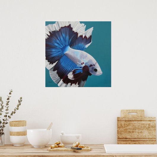 Betta Fish-Poster Poster (Keuken)