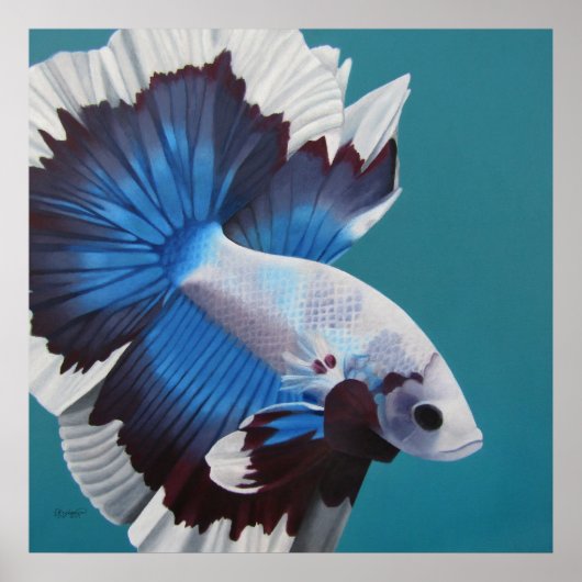 Betta Fish-Poster Poster (Voorkant)