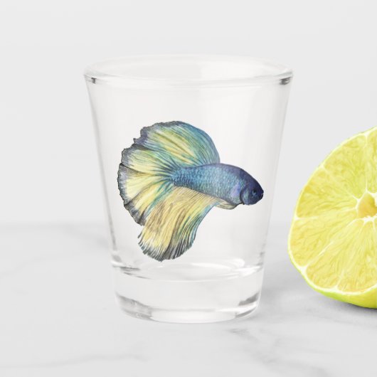Betta Fish Shot Glass Glas (Voorkant)