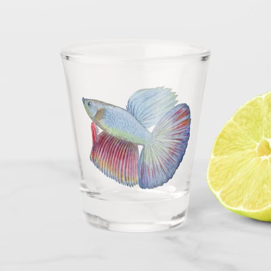 Betta Fish Shot Glass Glas (Voorkant)