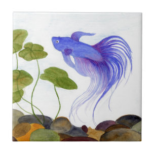 Betta Fish Tegeltje