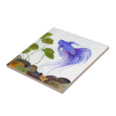 Betta Fish Tegeltje (Zijkant)