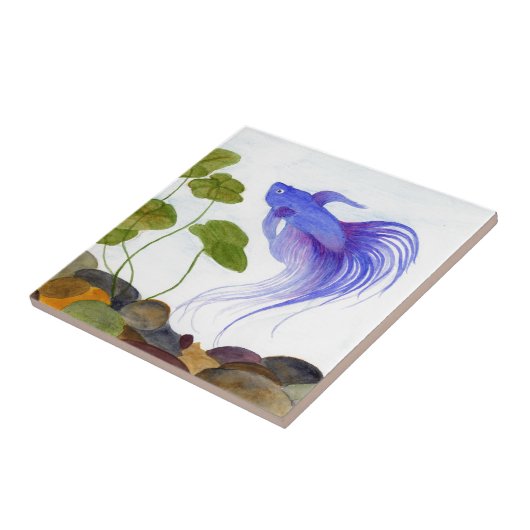 Betta Fish Tegeltje (Zijkant)