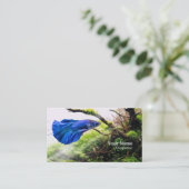 Betta Fish Visitekaartje (Staand voorkant)