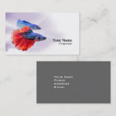Betta Fish Visitekaartje (Voorkant / Achterkant)