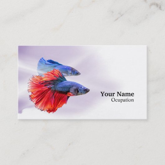 Betta Fish Visitekaartje (Voorkant)