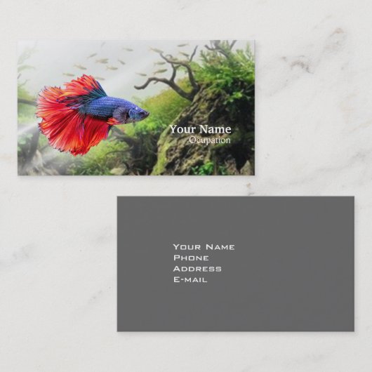 Betta Fish Visitekaartje (Voorkant / Achterkant)