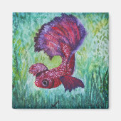 Betta fish-waterverf magneet (Voorkant)