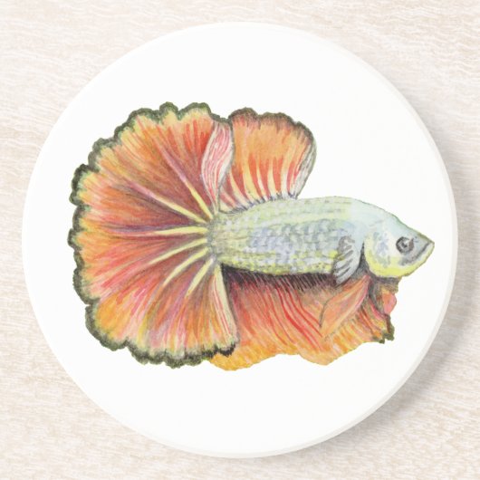 Betta Fish Zandsteen Onderzetter (Voorkant)