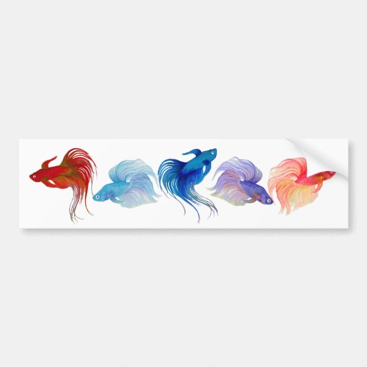 Betta Fishes Bumpersticker (Voorkant)