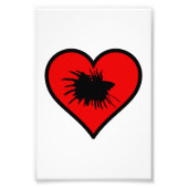 Betta Heart Love Fish Silhouette Foto Afdruk (Voorkant)