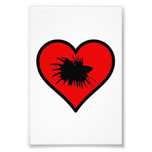 Betta Heart Love Fish Silhouette Foto Afdruk (Voorkant)