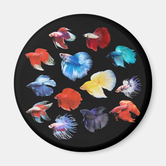 Betta Magneet (Voorkant)