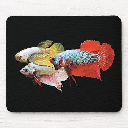 Betta Muismat (Voorkant)