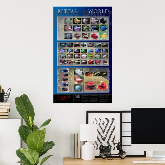 Betta Poster (Thuiskantoor)