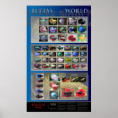 Betta Poster (Voorkant)