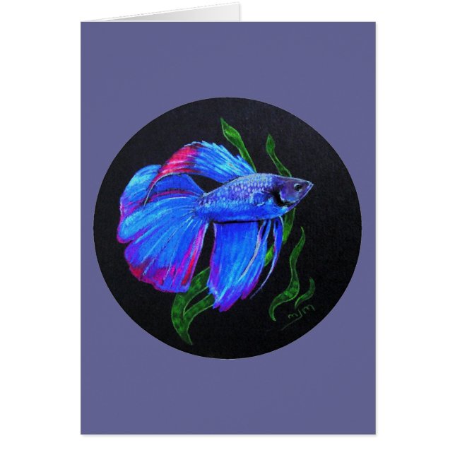 BETTA! Siamese gevechtsvis (Voorkant)