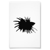 Betta Silhouette Love Siamese Fighting Fish Foto Afdruk (Voorkant)