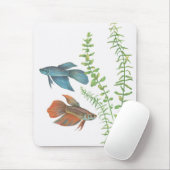 Betta splendens en Rotala indica White Muismat (Met muis)