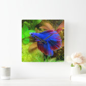 Betta Splendens Vierkante Klok (Huis)