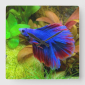 Betta Splendens Vierkante Klok (Voorkant)