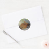 Betta-Sticker Ronde Sticker (Envelop)