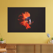 Betta Vis Canvas Afdruk (Insitu (Woonkamer))