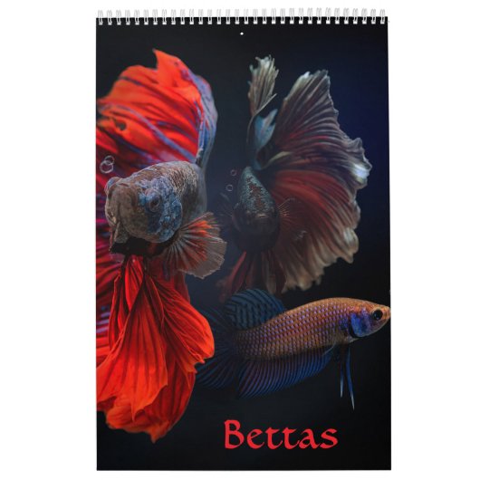 Betta vis Kalender (Hoes)