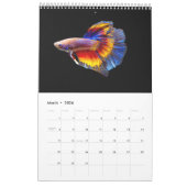 Betta vis Kalender (Mar 2026)