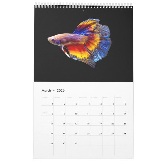 Betta vis Kalender (Mar 2026)