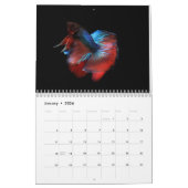Betta vis Kalender (Jan 2026)