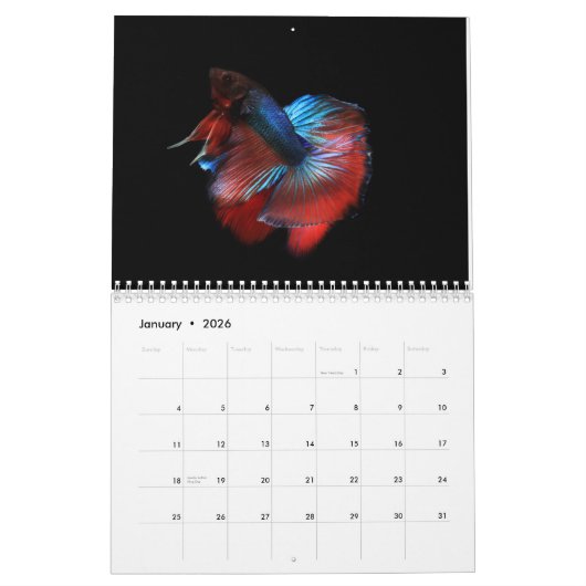 Betta vis Kalender (Jan 2026)