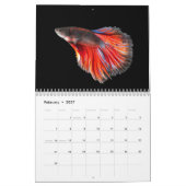Betta vis Kalender (Feb 2027)