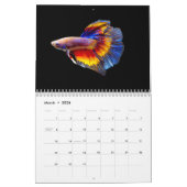 Betta vis Kalender (Mar 2026)