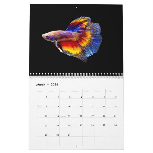 Betta vis Kalender (Mar 2026)