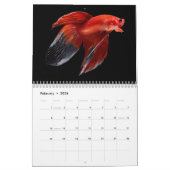 Betta vis Kalender (Feb 2026)