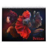 Betta vis Kalender (Hoes)